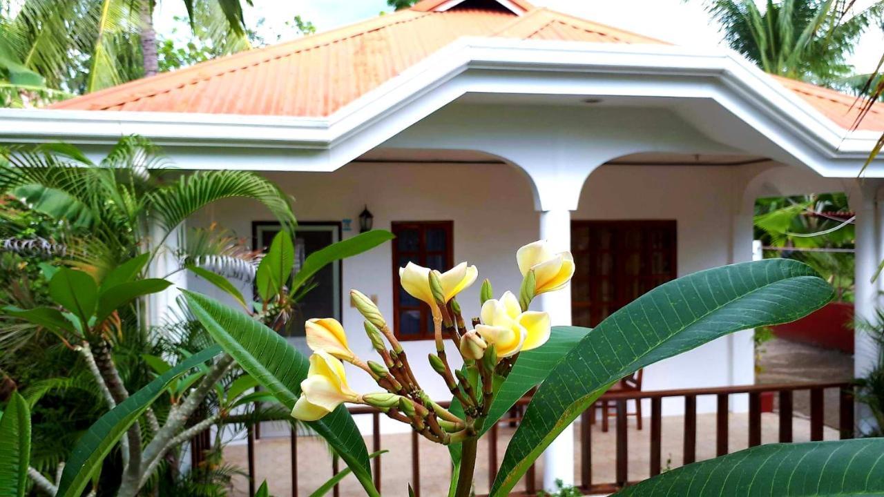 Palmera Palma Private 1-Br Bungalow In موالبوال المظهر الخارجي الصورة